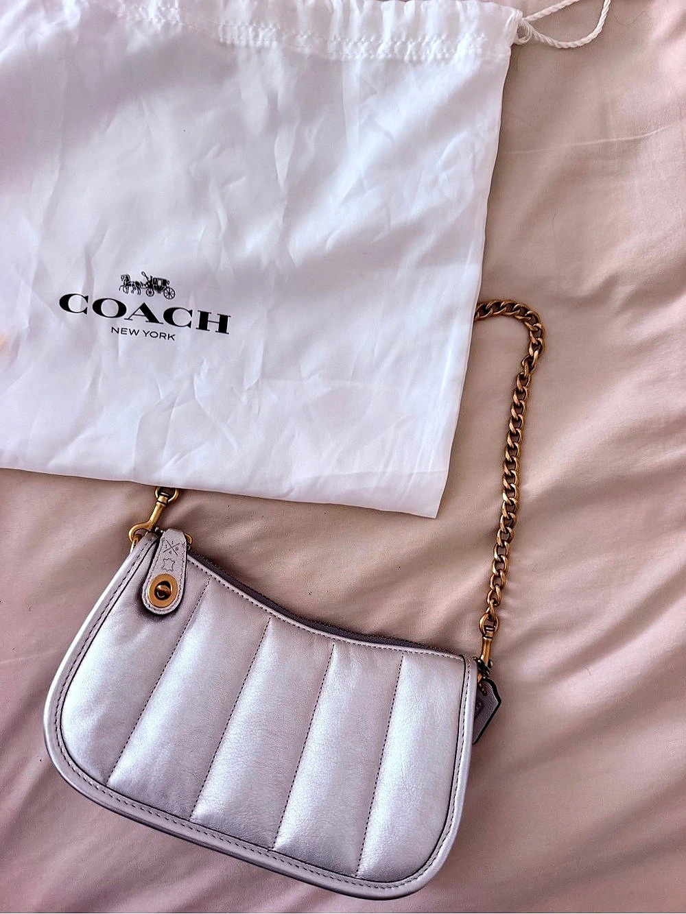 Coach Pillow Tabby in Silver